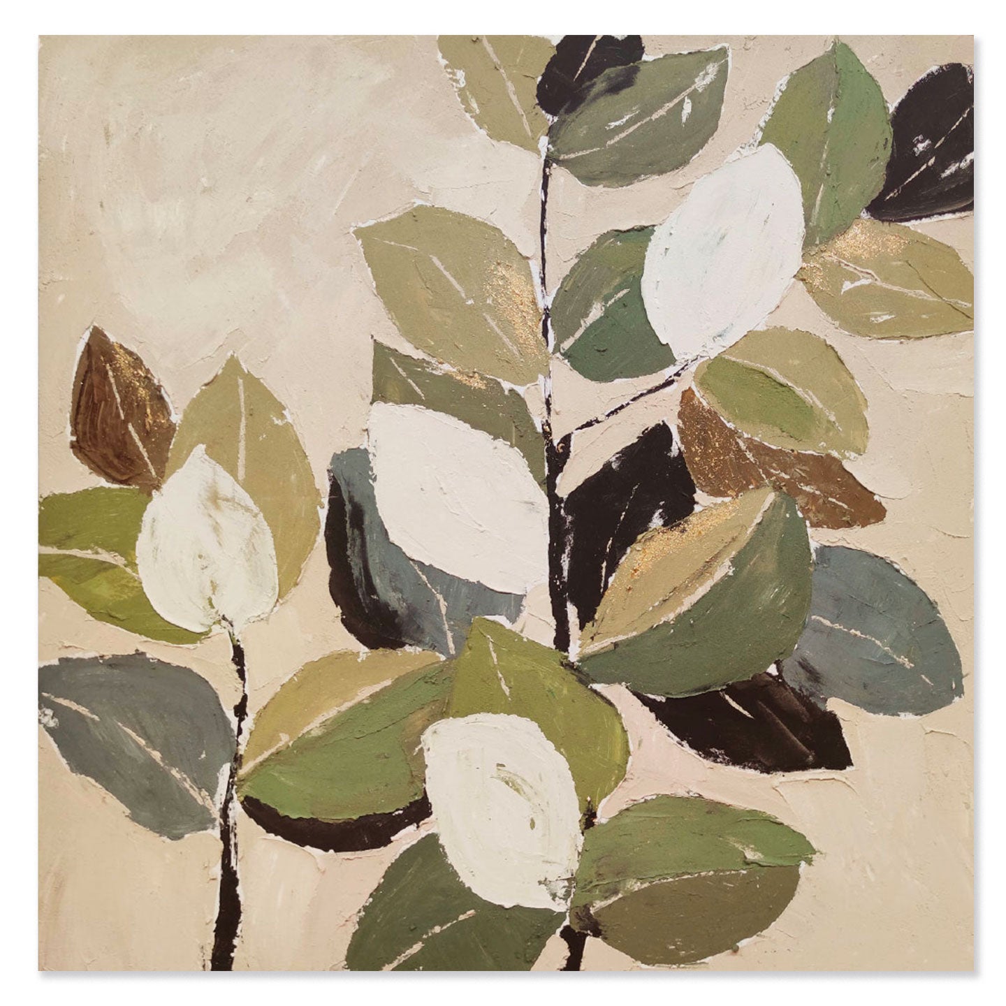 AGAVE QUADRI FOLIAGE 1