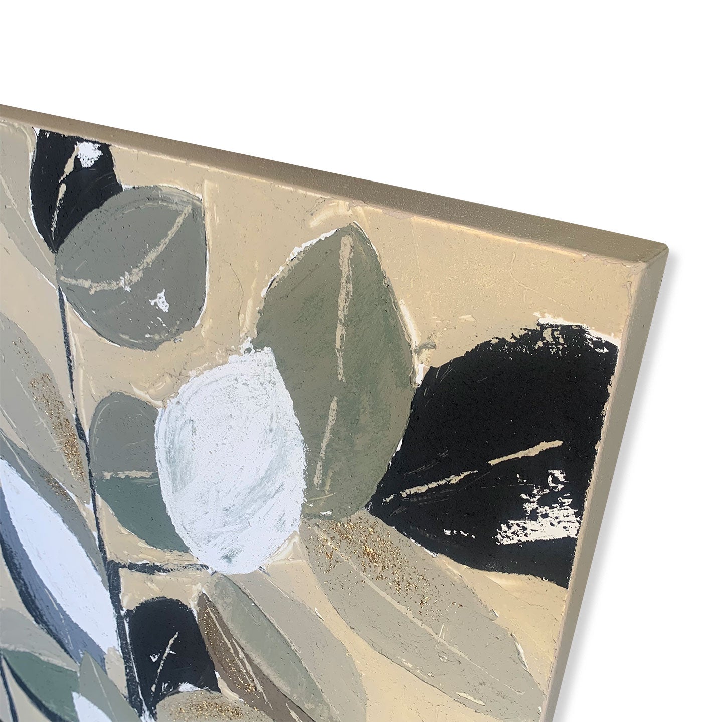 AGAVE QUADRI FOLIAGE 1