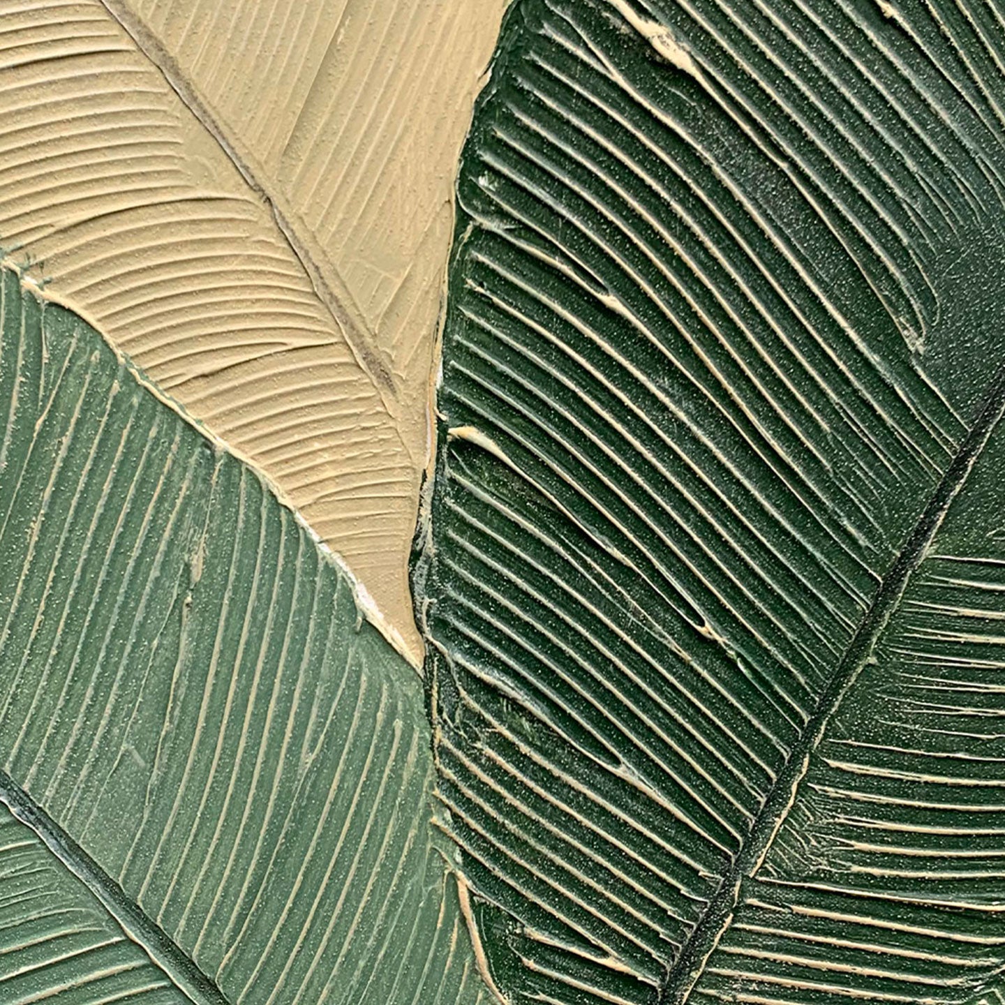 AGAVE QUADRI CALATHEA