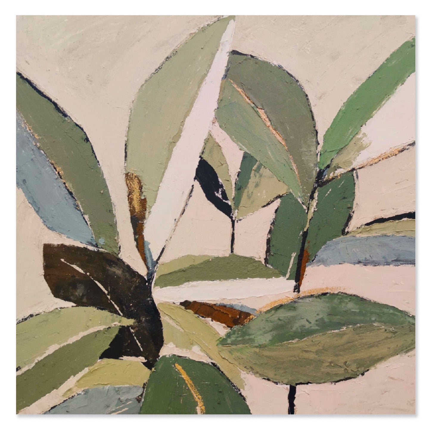 AGAVE QUADRI FOLIAGE 2