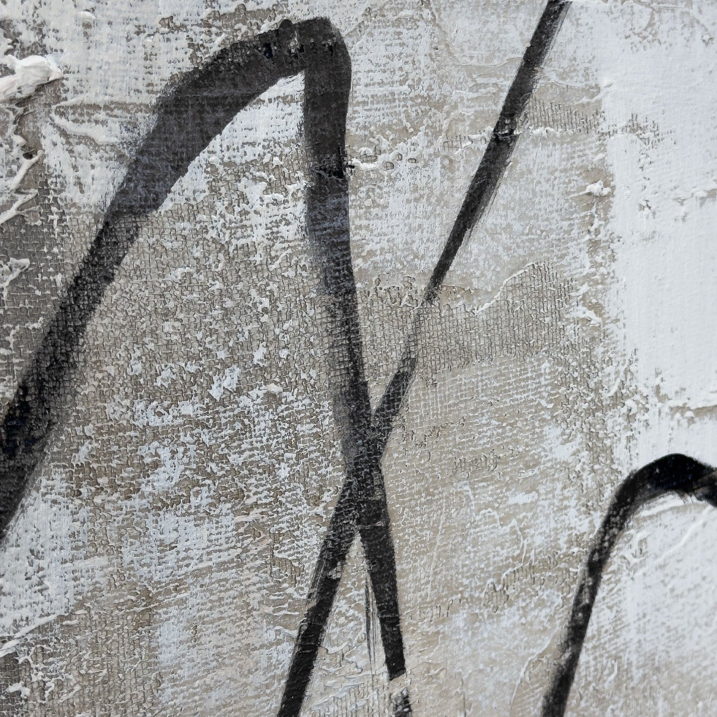 AGAVE QUADRI SCRIBBLE