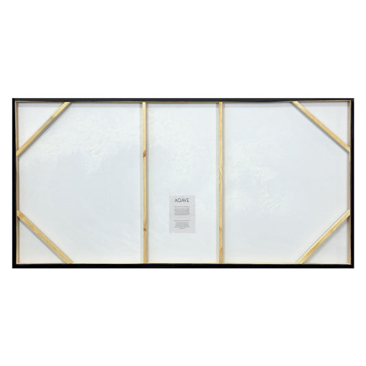 AGAVE QUADRI MONTALE