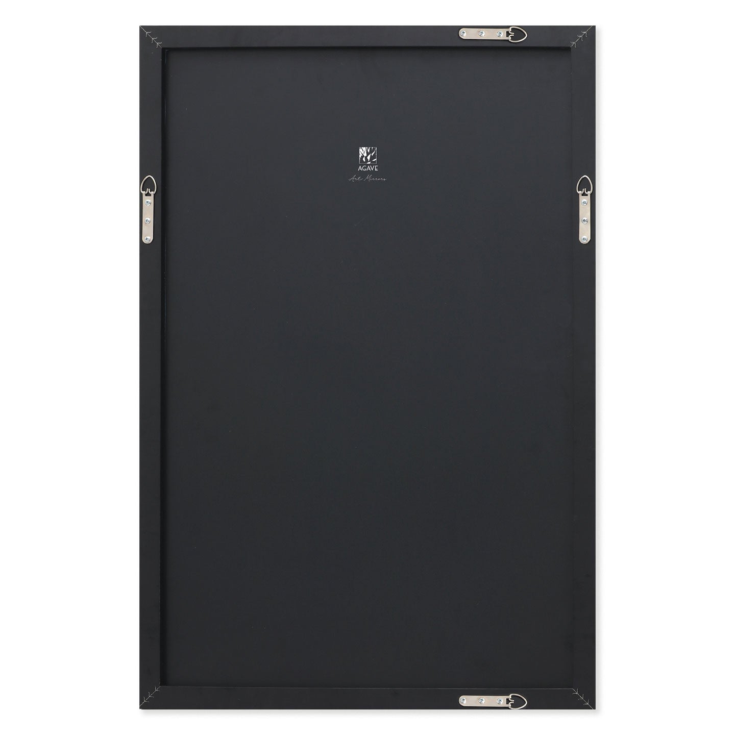 AGAVE SPECCHI D'ARTE HYBRIS