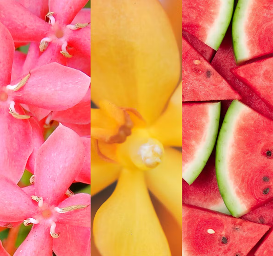 YANKEE CANDLE PINK SANDS (VARI STILI)