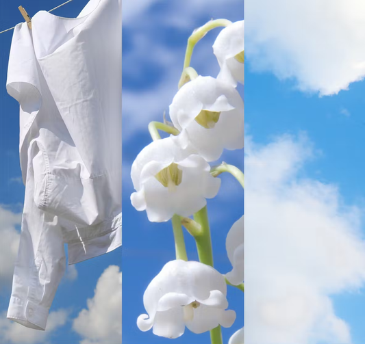 YANKEE CANDLE CLEAN COTTON (VARI STILI)