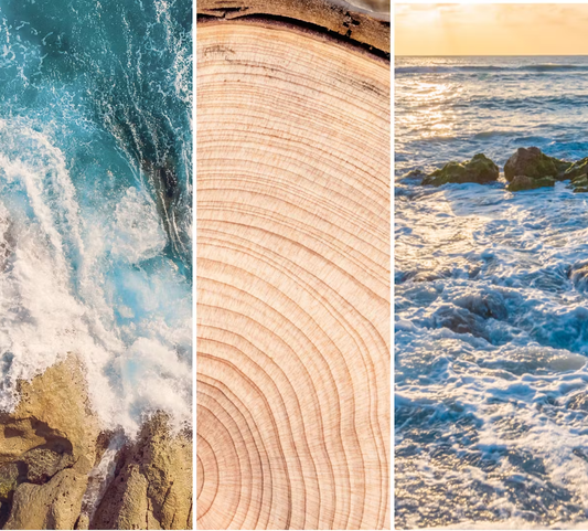 YANKEE CANDLE AMBER & SANDALWOOD (VARI STILI)