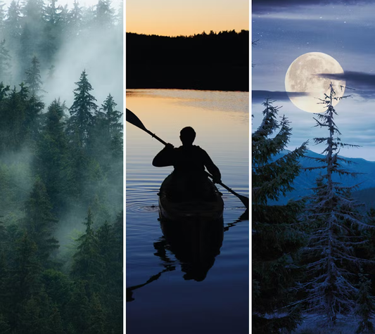 YANKEE CANDLE MIDSUMMER'S NIGHT (VARI STILI)