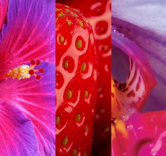 YANKEE CANDLE WILD ORCHID (VARI STILI)