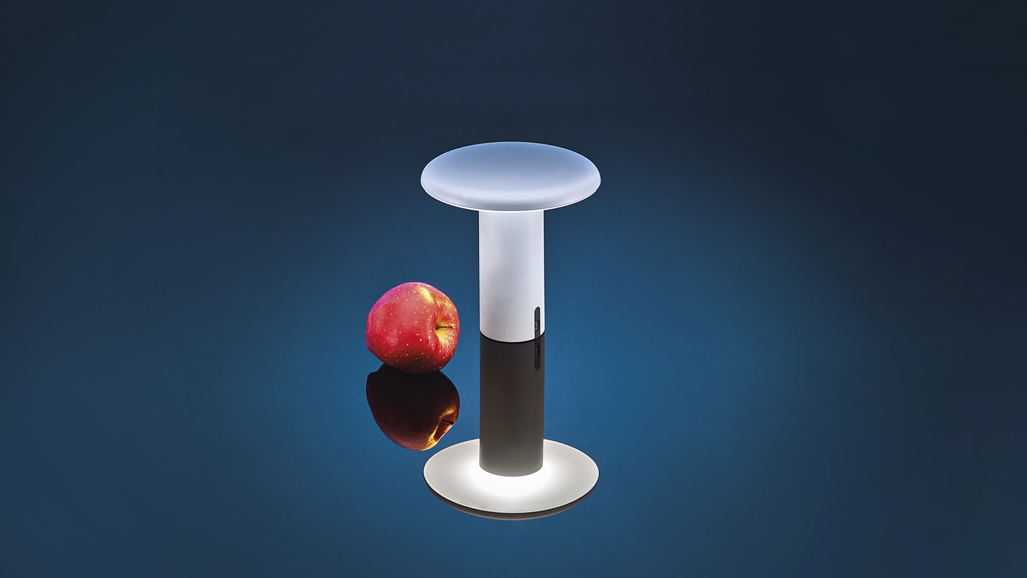 ARTEMIDE TAKKU