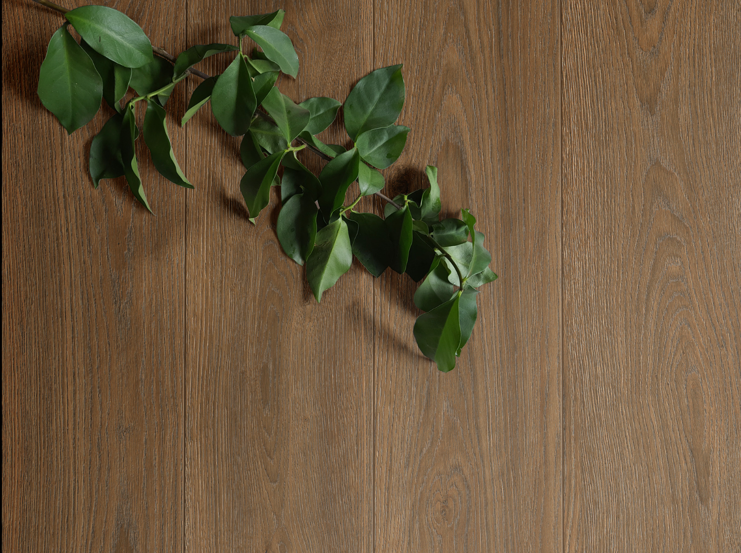 MARAZZI COLLEZIONE ALMA