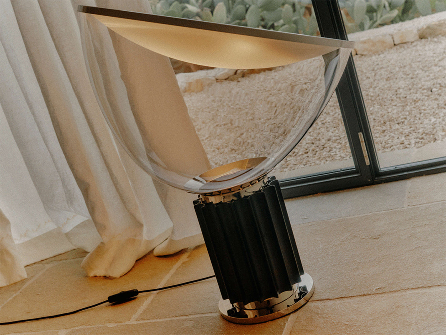 FLOS TACCIA