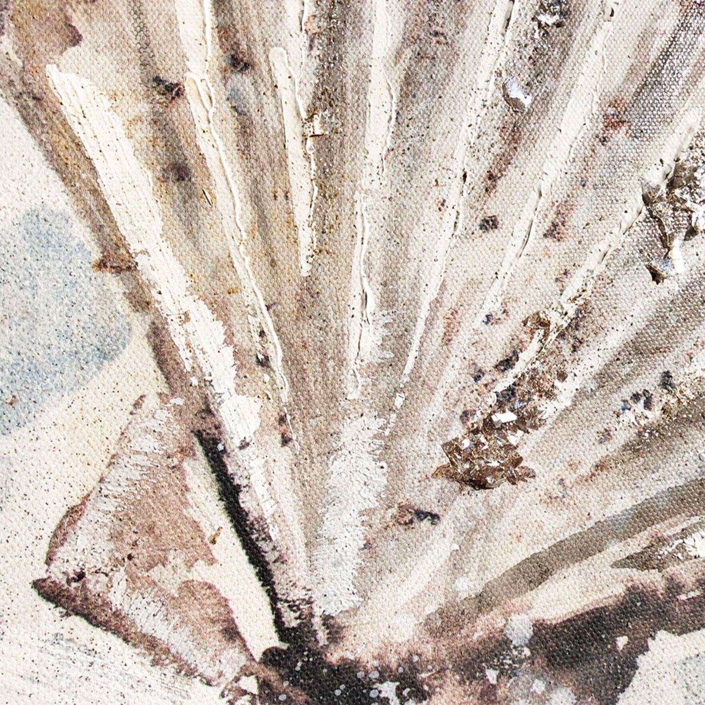 AGAVE QUADRI SEAFLOOR(VISTA 3D)