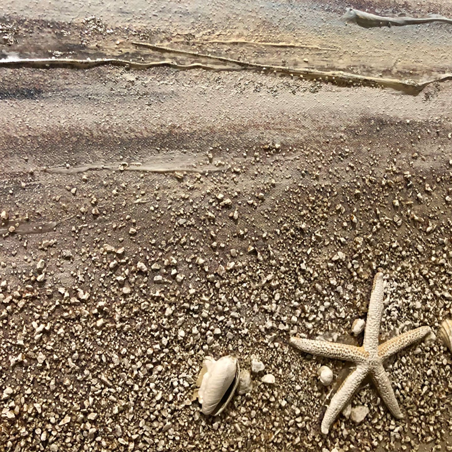 AGAVE QUADRI RIFLESSI SUL MARE (VISTA 3D)