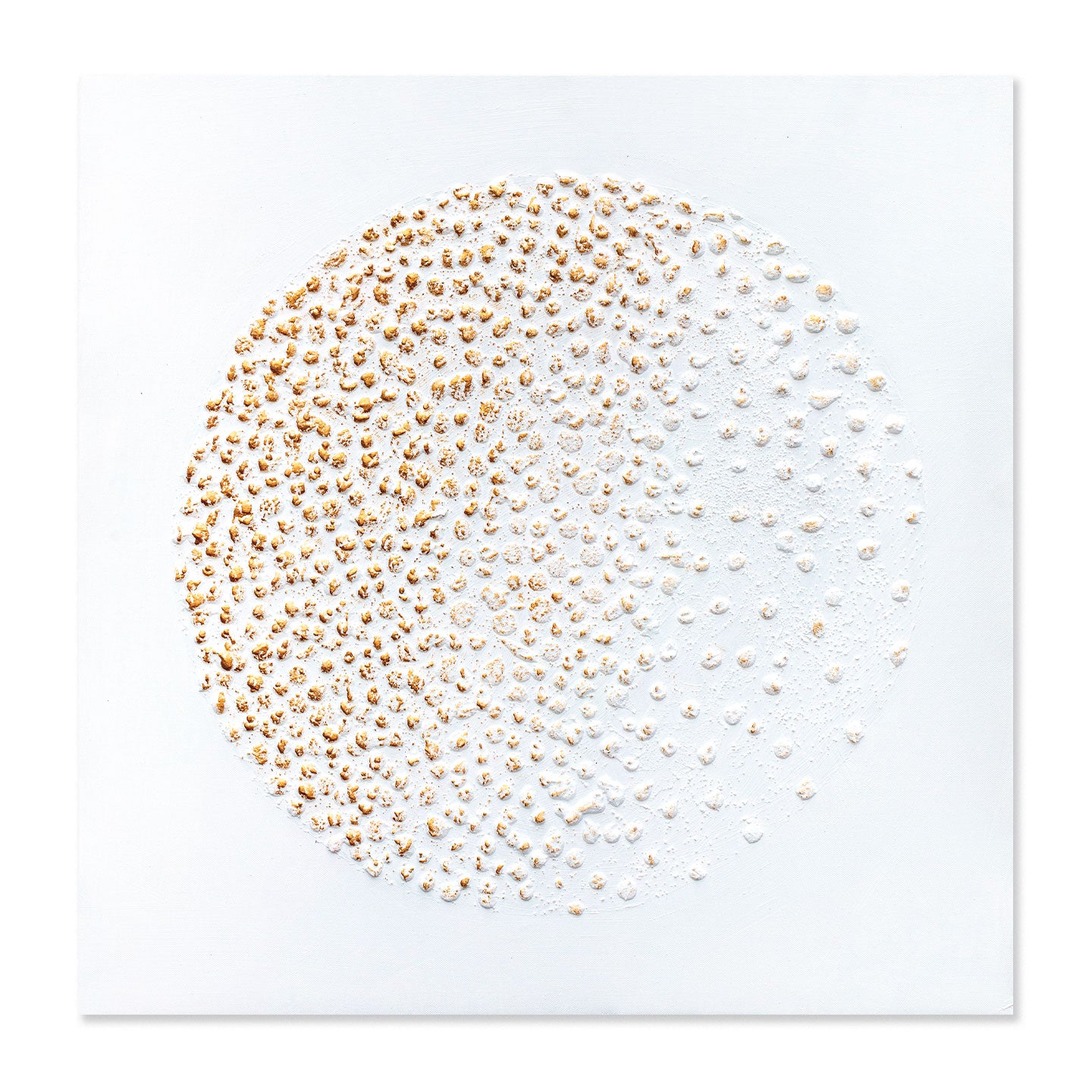AGAVE QUADRI ORO SU TELA 1 (VISTA 3D)