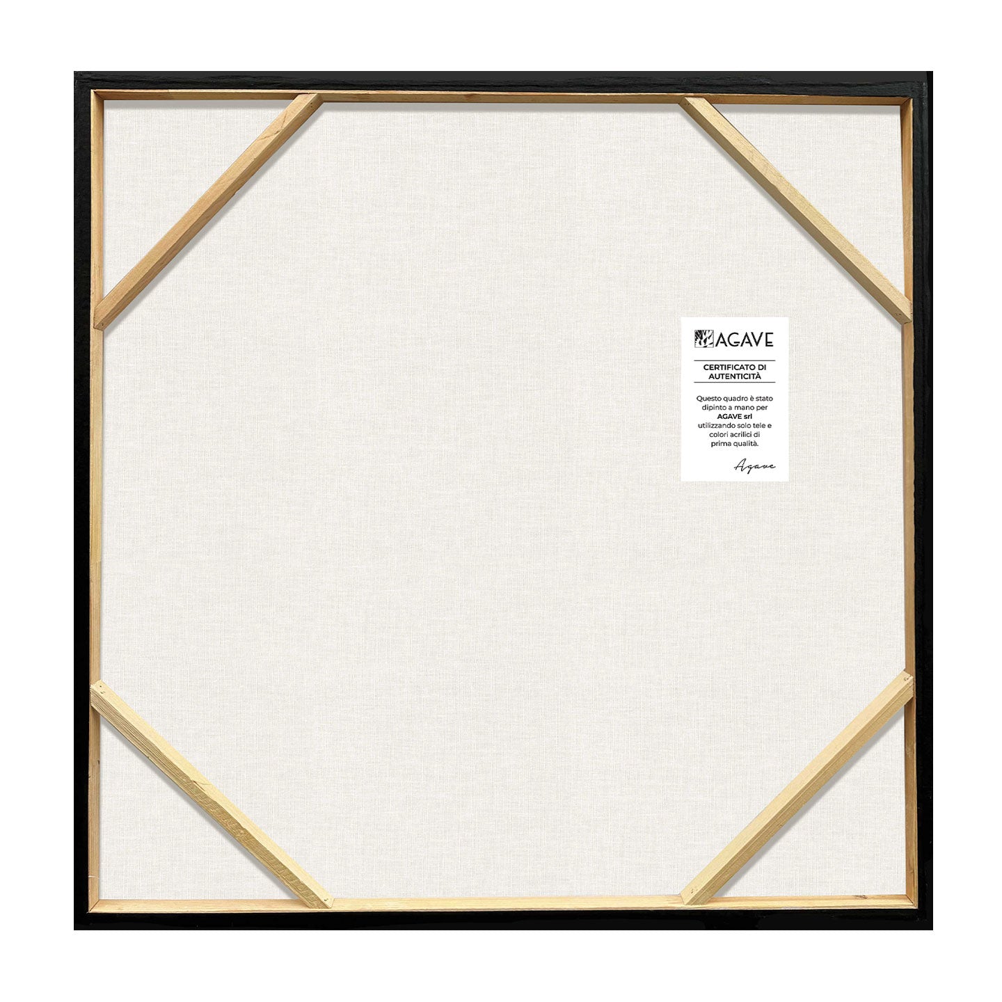 AGAVE QUADRI BLACK CIRLCES (VISTA 3D)