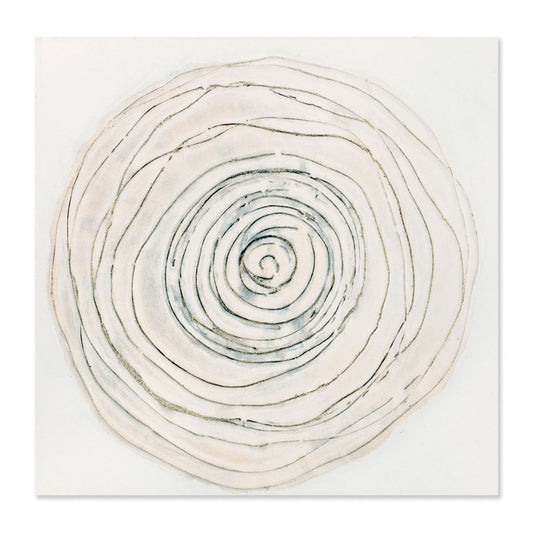AGAVE QUADRI LIFE CIRCLES (VISTA 3D)