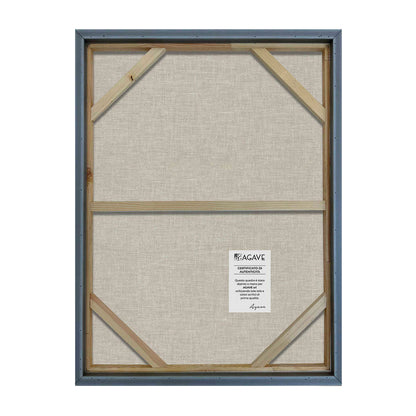 AGAVE QUADRI BROWN SHAPES (VISTA 3D)
