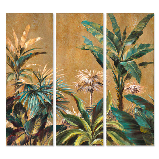AGAVE QUADRI CLOROFILLA SET 3 PZ. (VISTA 3D)