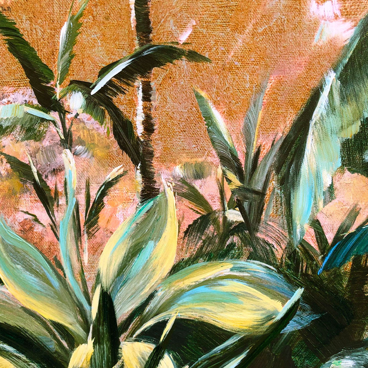 AGAVE QUADRI WILD