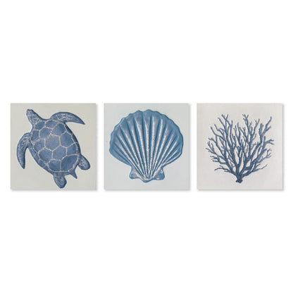 AGAVE QUADRI SEA LIFE  SET 3 PZ.