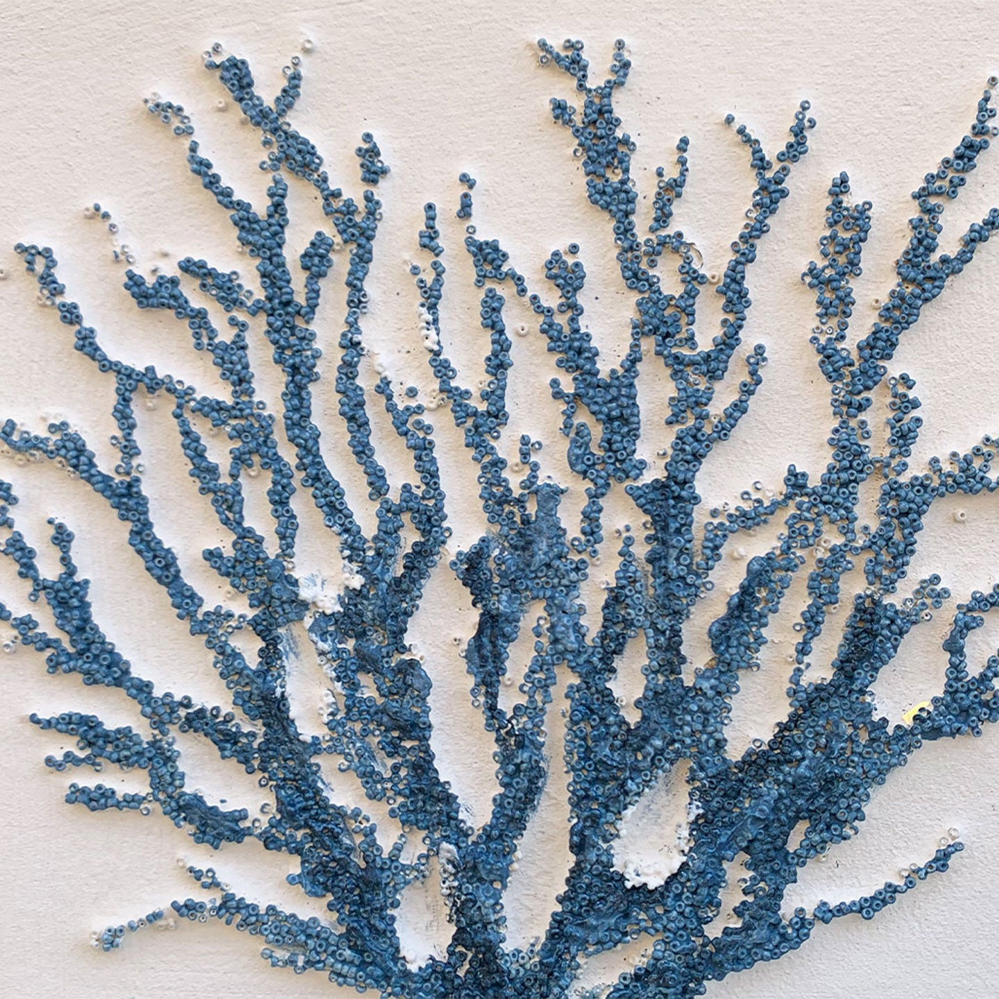AGAVE QUADRI SEA LIFE  SET 3 PZ.