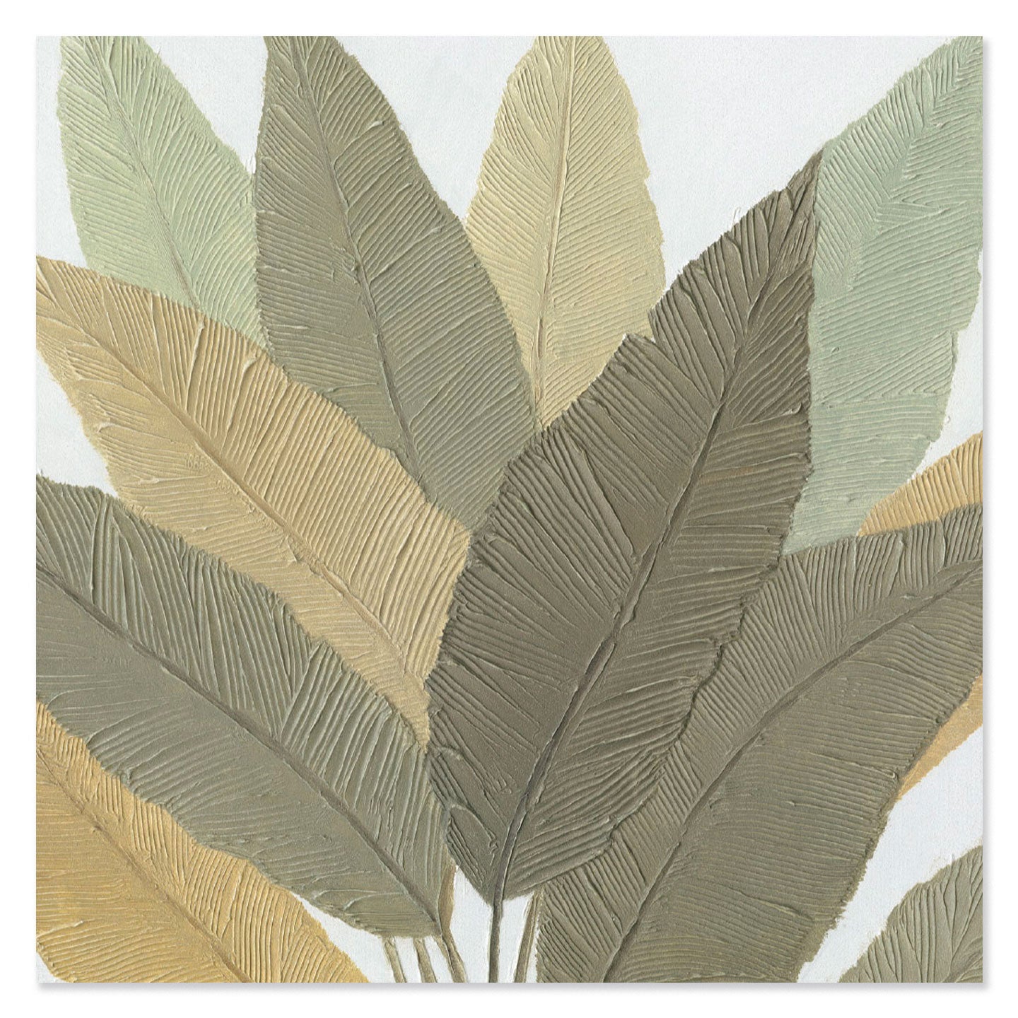 AGAVE QUADRI CALATHEA