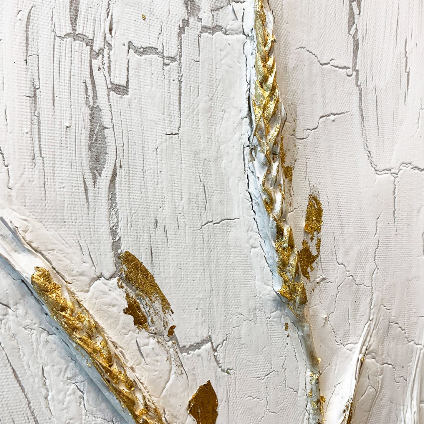 AGAVE QUADRI PROVENCE