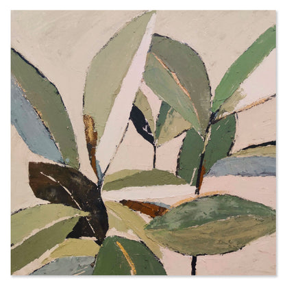AGAVE QUADRI FOLIAGE 2