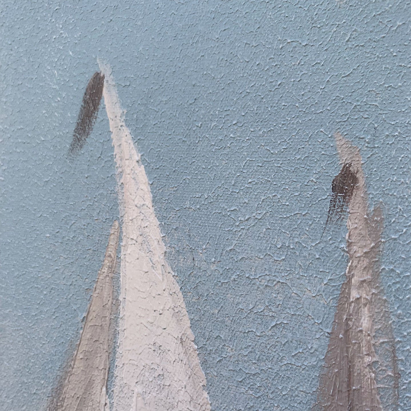 AGAVE QUADRI UNDICI VELE