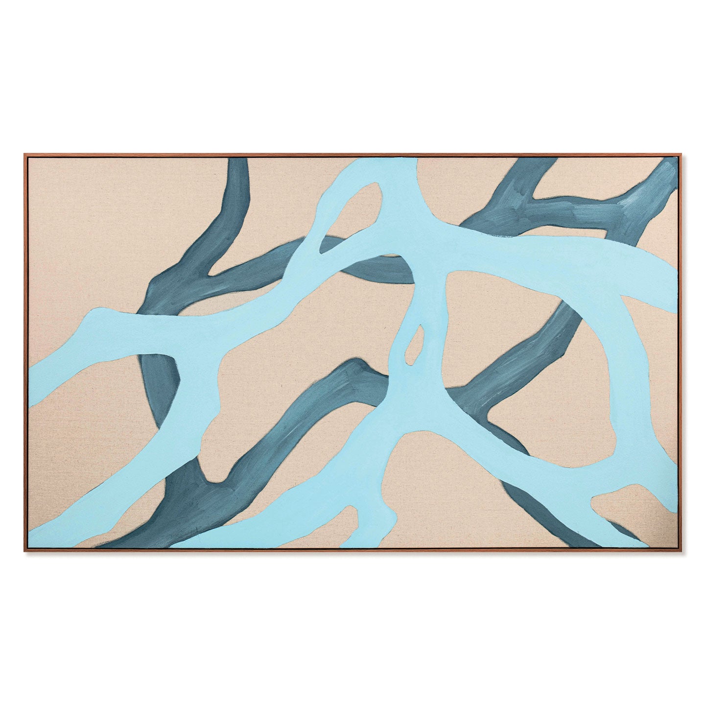 AGAVE QUADRI TALEA