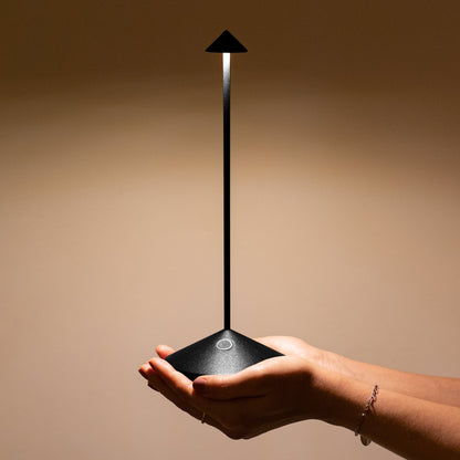 ZAFFERANO PINA LAMPADA DA TAVOLO