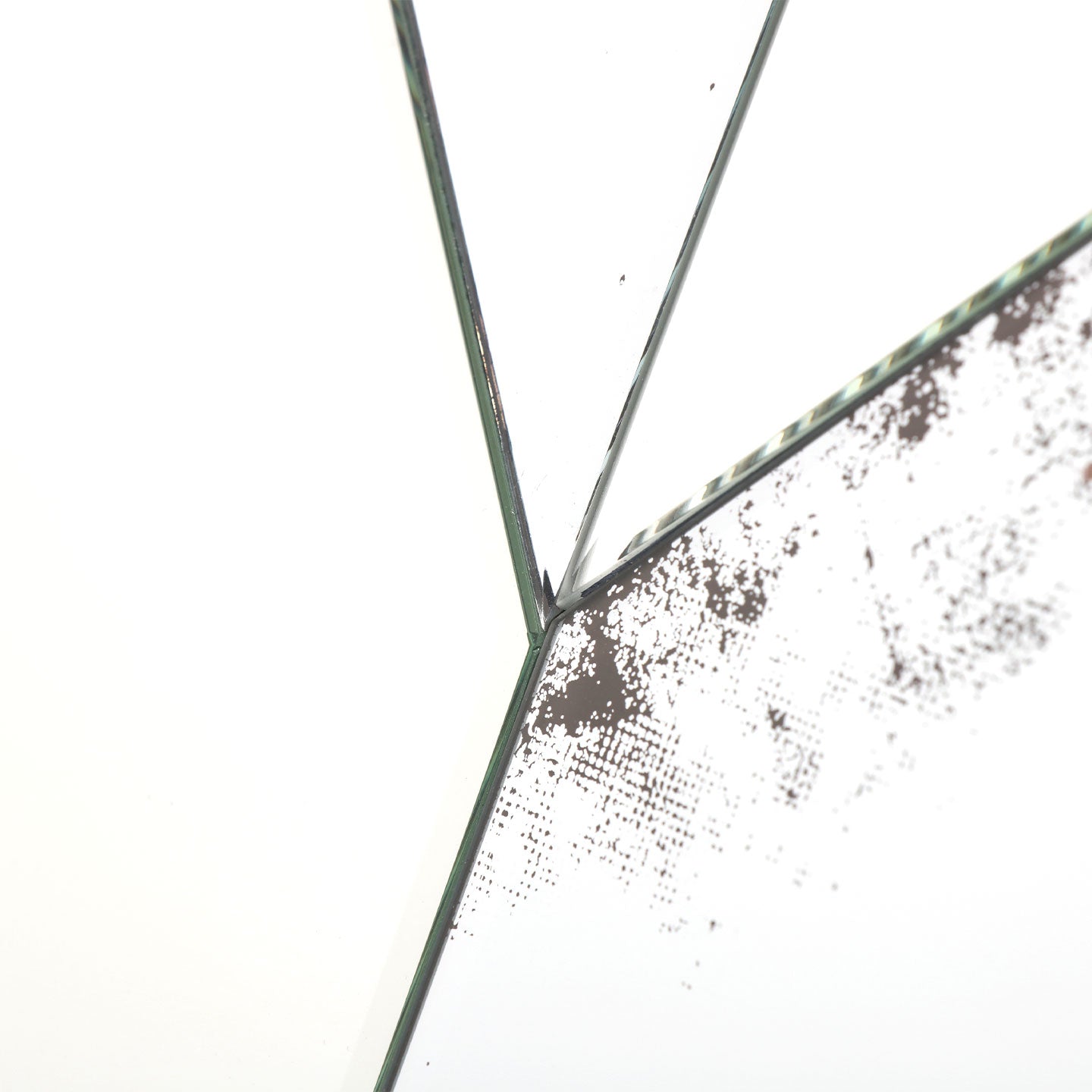 AGAVE SPECCHI D'ARTE ZIGGY