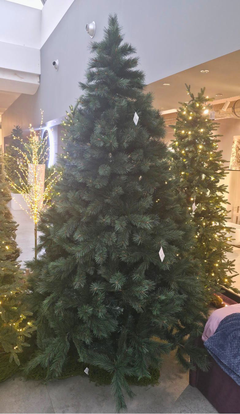 ALBERO DI NATALE ABETE COLORADO NEEDLE H 240 IN STOCK