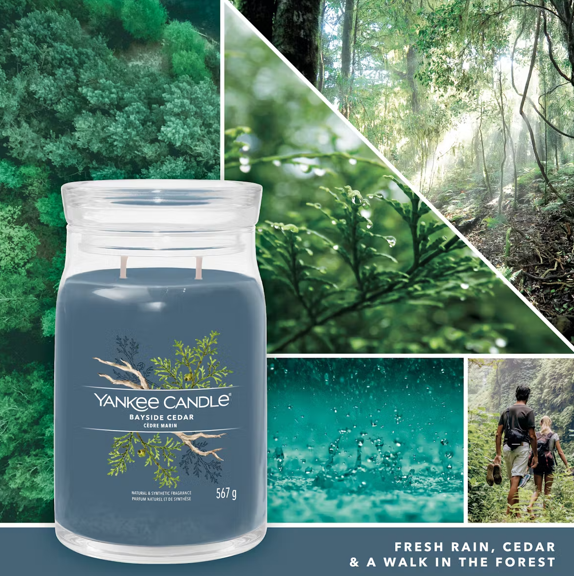 Bougie Yankee Bayside Cedar (différents styles) 