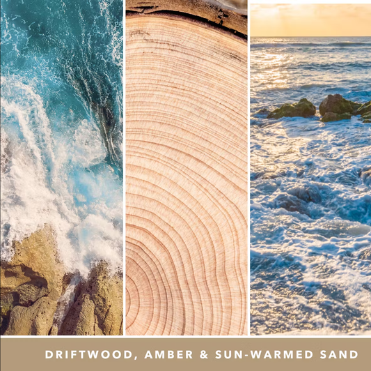 YANKEE CANDLE AMBER & SANDALWOOD (VARI STILI)