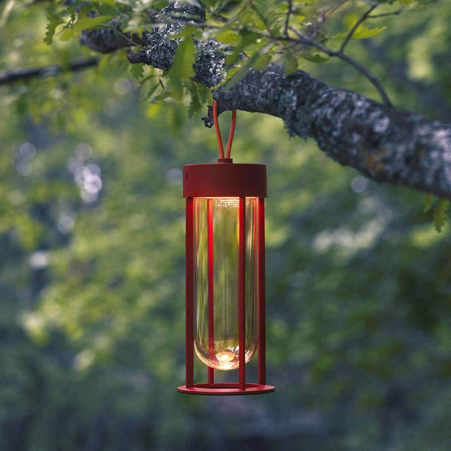FLOS IN VITRO UNPLUGGED