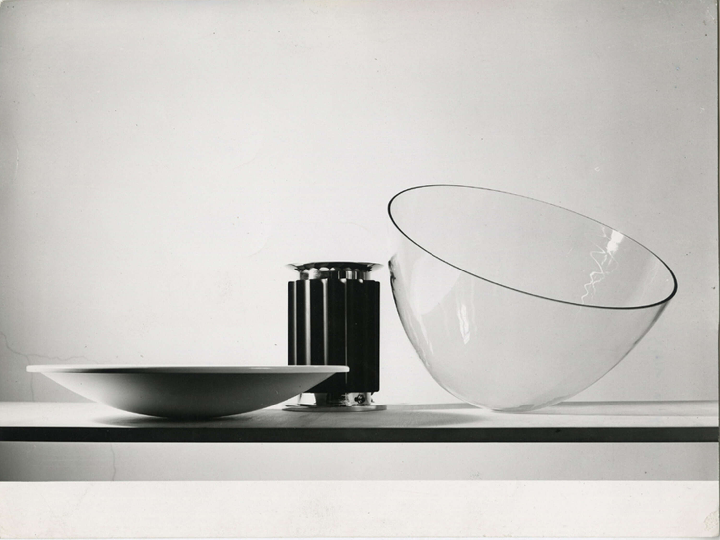 FLOS TACCIA