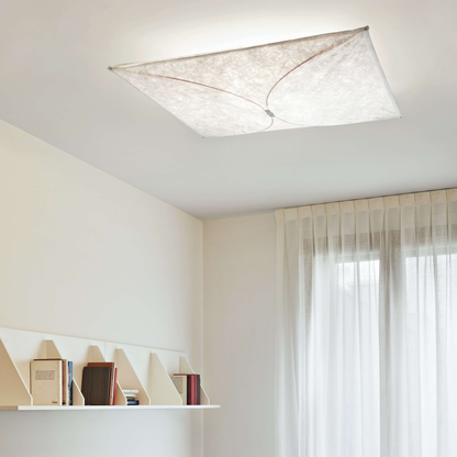 FLOS ARIETTE