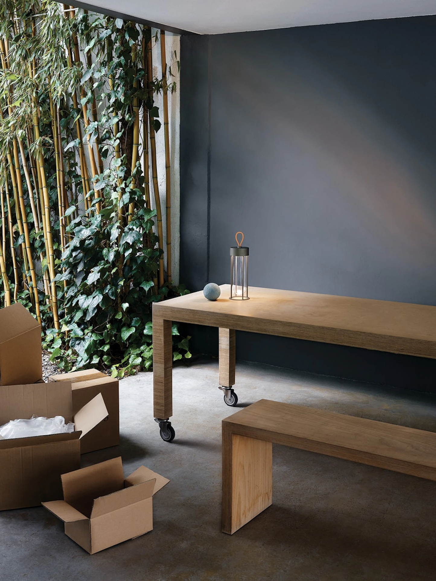 FLOS IN VITRO UNPLUGGED