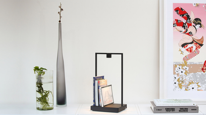 ARTEMIDE CURIOSITY