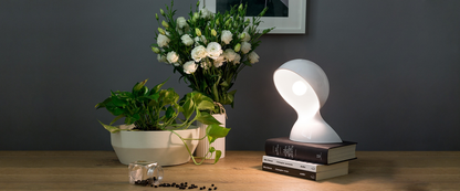 ARTEMIDE DALÙ