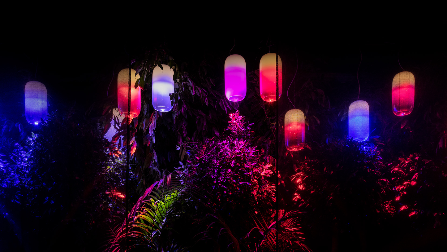 ARTEMIDE GOPLE