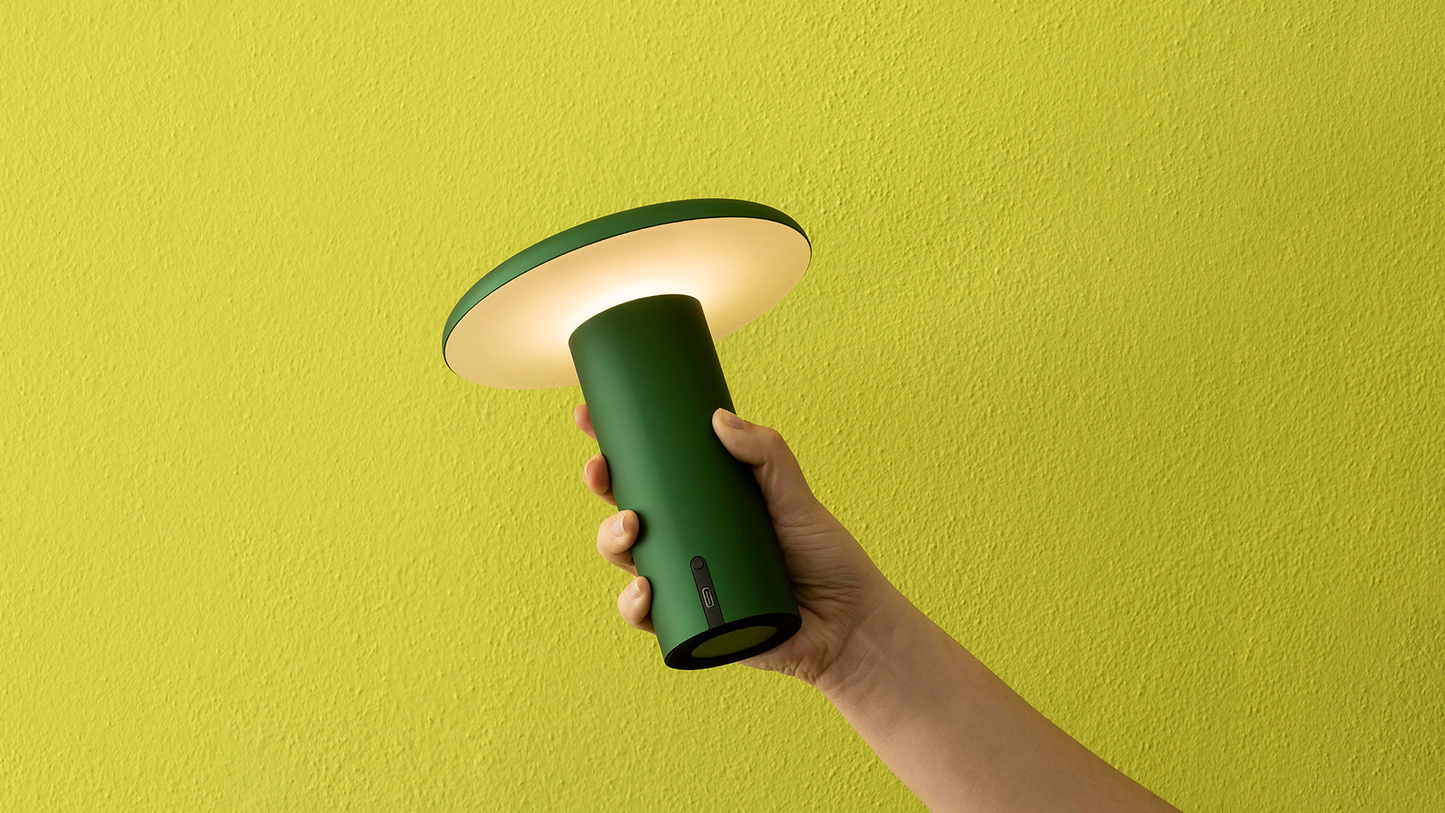 ARTEMIDE TAKKU