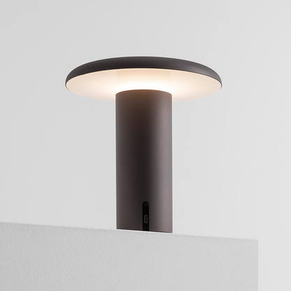 ARTEMIDE TAKKU
