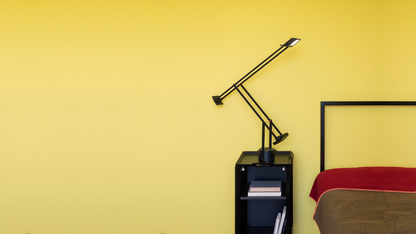 ARTEMIDE TIZIO