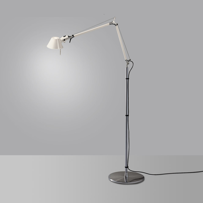 ARTEMIDE TOLOMEO TERRA