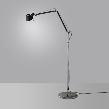 ARTEMIDE TOLOMEO TERRA