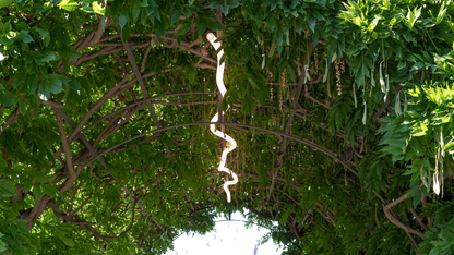 ARTEMIDE LA LINEA