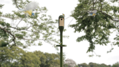 ARTEMIDE NEEDO