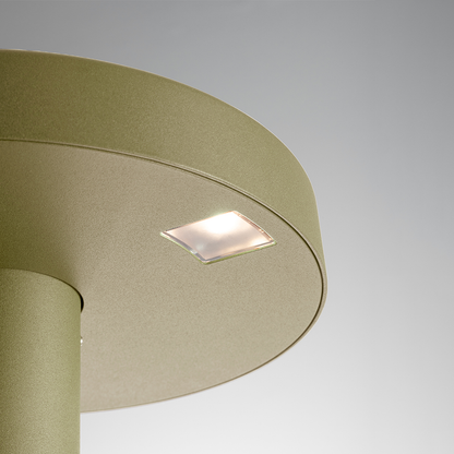 ARTEMIDE NEEDO